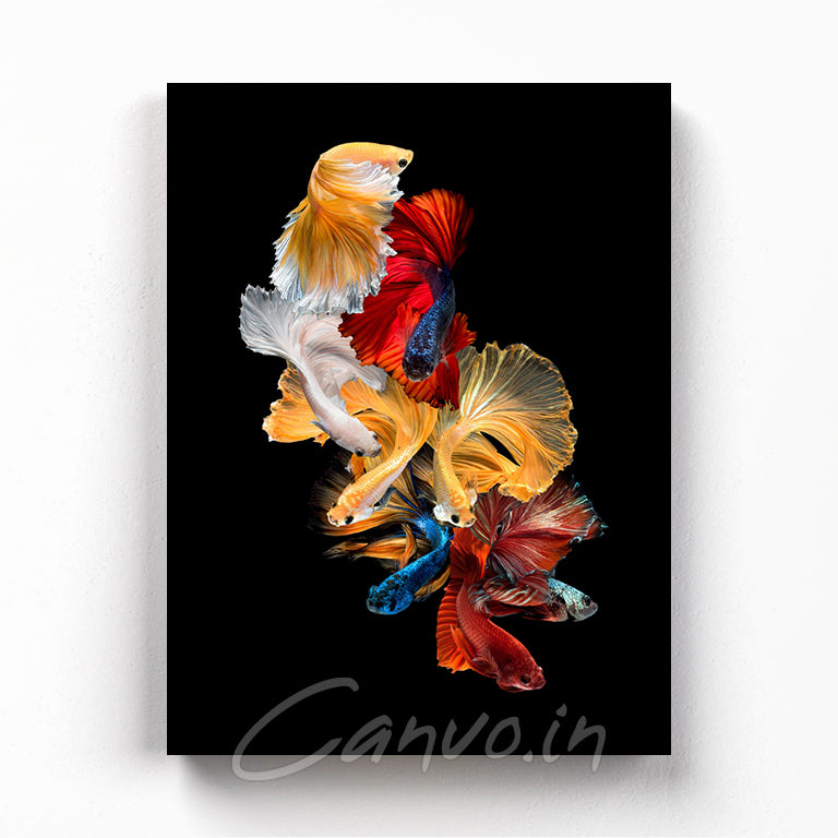 The Auspicious Fishes Canvo